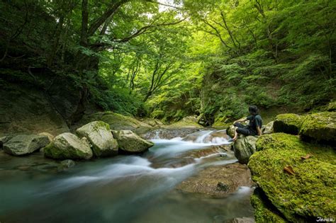 避暑|【2024避暑勝地】Top17全台避暑景點攻略，最強森林。